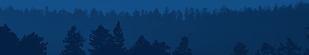 forest_btn_bg.jpg